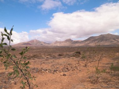 Çöl - Lanzarote 'nin tipik manzarası, Kanarya Adaları. Seyahat ve doğa kavramı.