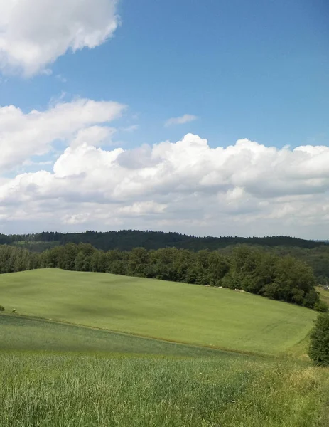 Krásný Výhled Kopce Louky Regionu Wiezyca Pomeránie Kašubie Polsko — Stock fotografie