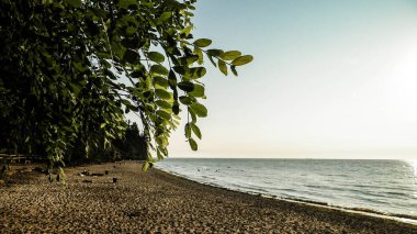 Baltc Denizi üzerinde gün batımının güzel manzarası ve Gdynia, Polonya 'da kumlu bir plaj. Doğa ve seyahat kavramı.