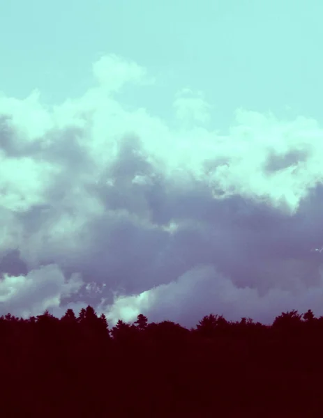 Абстрактное Фото Лес Облачное Небо Копирование Пространства — стоковое фото