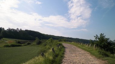 Wiezyca, Polonya 'daki tarlaların içinden. Kashubia doğası - Kuzey Polonya 'nın güzel bölgesi.