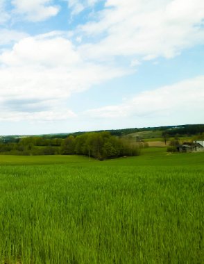 Kashubia bölgesindeki yeşil alanlar, Kuzey Polonya. Bulutlu bir gün, seyahat ve doğa konsepti.