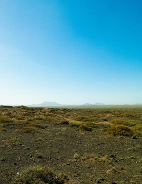 Çöl manzarası, Lanzarotte, Kanarya Adaları. Çöl, Lanzarote adasındaki tipik bir manzaradır. Seyahat ve doğa kavramı.