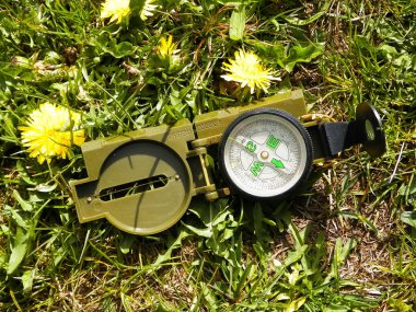 Çayırdaki pusula, seyahat ve tatil konsepti. Yaz zamanı, keşif ve yaz zamanı..