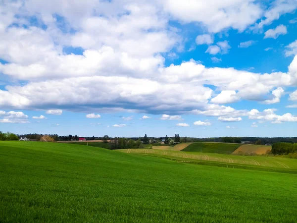 Zelená Pole Kašubském Kraji Severní Polsko Koncept Oblačnosti Cestování Přírody — Stock fotografie