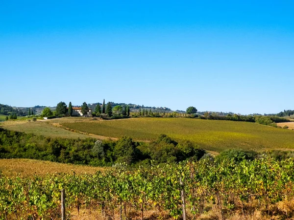 Paesaggio Dei Vigneti Toscani Nella Giornata Sole Concetto Natura Agricoltura — Foto Stock