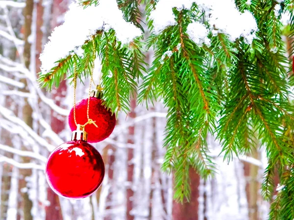 Χριστουγεννιάτικη Μπάλα Κλαδί Δέντρου Στο Δάσος Χειμερινή Περίοδος Χριστούγεννα Αντιγραφή — Φωτογραφία Αρχείου