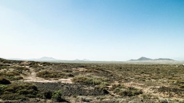 Çöl manzarası, Lanzarotte, Kanarya Adaları. Çöl, Lanzarote adasındaki tipik bir manzaradır. Seyahat ve doğa kavramı.
