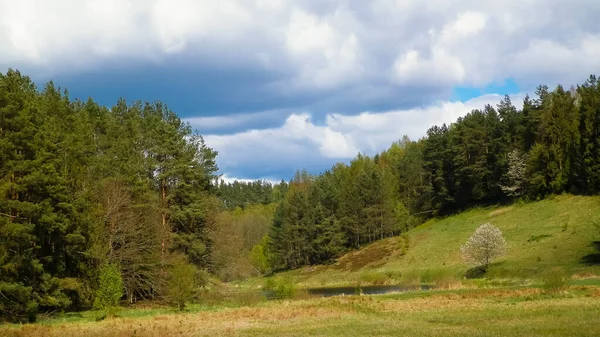 Collines Prairies Forêts Typiques Région Kashubian Dans Nord Pologne Concept — Photo