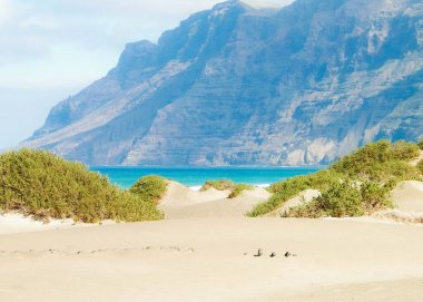 Plaj ve Dağlar - Caleta de Famara 'nın güzel kıyıları, Lanzarote Kanarya Adaları. Caleta de Famara 'daki plaj sörfçüler arasında çok popüler..