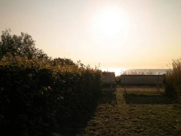 Zomer Natuur Prachtig Uitzicht Zonsondergang Baltische Zee Gdynia Polen Natuur — Stockfoto