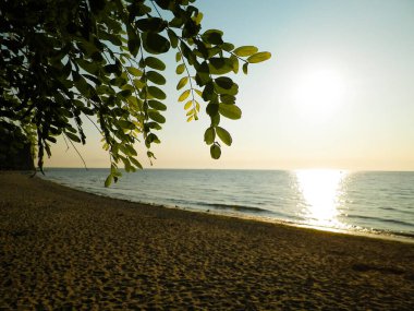 Baltc Denizi üzerinde gün batımının güzel manzarası ve Gdynia, Polonya 'da kumlu bir plaj. Doğa ve seyahat kavramı.