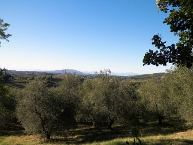 Tepeler, tarlalar ve çayırlar - tipik Toskana manzarası, İtalya. Seyahat, doğa ve tarım kavramı. Güneşli bir sonbahar günü, İtalya 'da tatiller. Boşluğu kopyala.