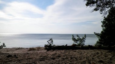 Hel Peninsula 'dan Baltık deniz kıyıları - Hel şehrine yakın plaj. Baltık Denizi ve Gdansk Körfezi 'nin güzel doğası. Seyahat ve doğa kavramı.