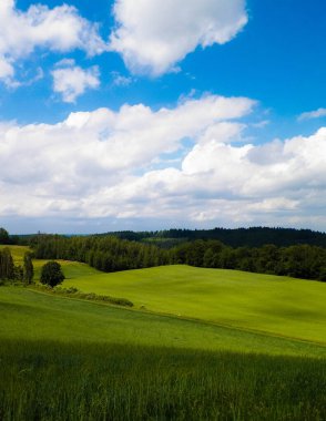 Wiezyca Bölgesi, Pomerania, Kashubia, Polonya 'nın güzel tepeleri ve çayır manzarası.