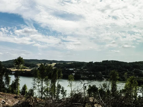 Skära Skogsträd Wiecyca Kashubiens Region Polen — Stockfoto