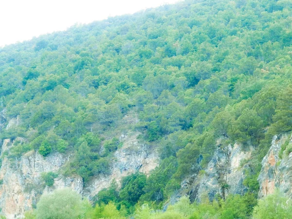 Mountains Galicica National Park Macedonia Balkan Nature Exploration Concept — Stock Photo, Image