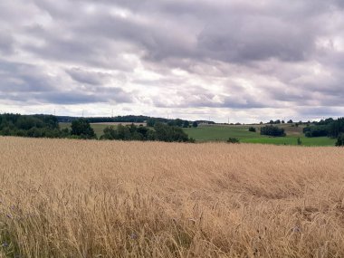 Kashubia 'daki çayır üzerinde kara bulutlar. Yağmurlu hava geliyor. Kuzey Polonya 'nın güzel doğası.
