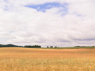Kashubia 'daki çayır üzerinde kara bulutlar. Yağmurlu hava geliyor. Kuzey Polonya 'nın güzel doğası.