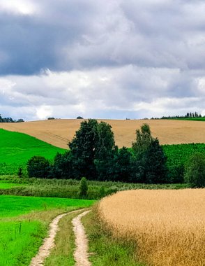 Kashubia 'daki tarlaların üzerindeki kara bulutlar. Yağmur yağacak. Kuzey Polonya 'nın güzel doğası.
