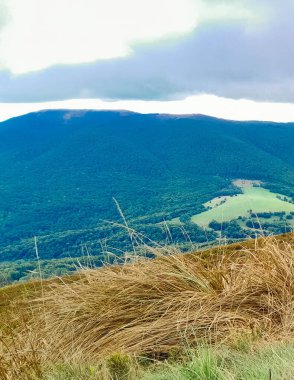Dağın tepesinden Karpatların güzel manzarası. Doğanın güzelliği.