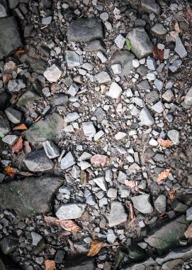 Zemin ve kayalar doğal arka plan. Boşluğu kopyala.