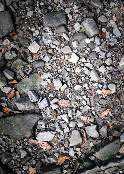 Zemin ve kayalar doğal arka plan. Boşluğu kopyala.