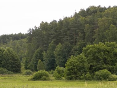 Ormanın ortasında yeşil alan. Kuzey Polonya 'nın güzel doğası. Kashubian Bölgesinin Keşfi.