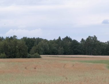 Kashubia 'da hava bulutlu. Gelen yağmur.
