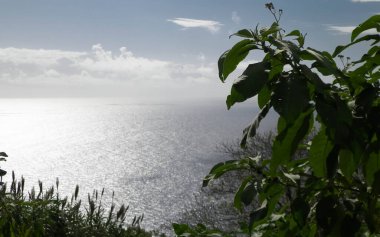 Sao Miguel 'in egzotik adası Azores' ten Atlantik deniz ufku. Boşluğu kopyala.