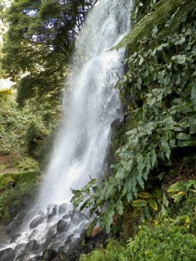 Azores 'de inanılmaz bir şelale. Sao Miguel Adası. Doğanın güzelliği.