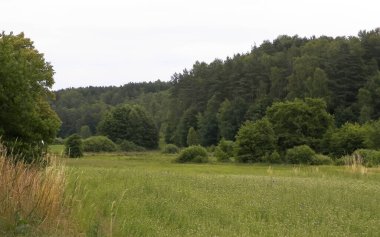 Ormanın ortasında yeşil alan. Kuzey Polonya 'nın güzel doğası. Kashubian Bölgesinin Keşfi.