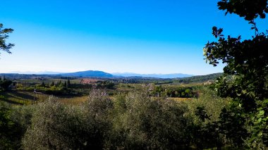 Tepeler, tarlalar ve çayırlar - tipik Toskana manzarası, İtalya. Seyahat, doğa ve tarım kavramı. Güneşli bir sonbahar günü, İtalya 'da tatiller. Boşluğu kopyala.
