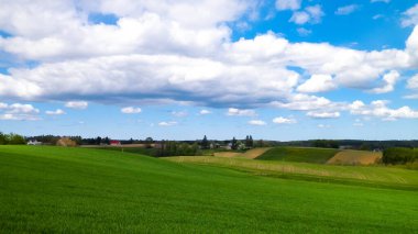 Kashubian Bölgesi, Wiezyca 'daki yeşil tarlalar ve tepeler. Wiezyca Polonya 'nın turistik bölgesidir.
