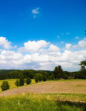 Wiezyca Bölgesi, Pomerania, Kashubia, Polonya 'nın güzel tepeleri ve çayır manzarası.