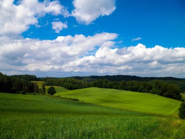 Wiezyca Bölgesi, Pomerania, Kashubia, Polonya 'nın güzel tepeleri ve çayır manzarası.