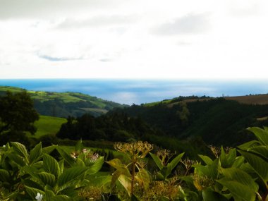 Tipik Azores manzarası. Arka planda doğal yeşil arazi tepeleri ve deniz. Doğanın güzelliği konsepti.