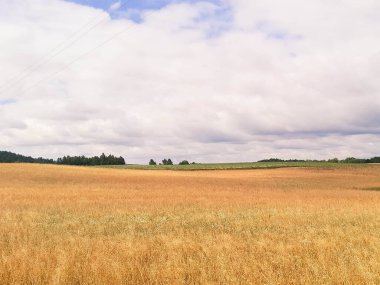 Kashubia 'daki çayır üzerinde kara bulutlar. Yağmurlu hava geliyor. Kuzey Polonya 'nın güzel doğası.
