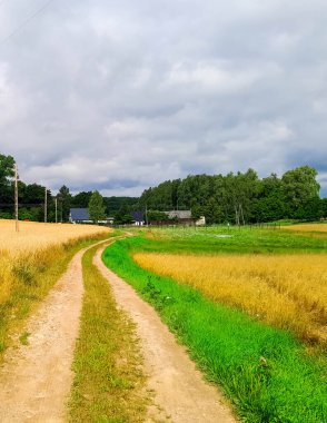 Kashubia 'daki çayır üzerinde kara bulutlar. Yağmurlu hava geliyor. Kuzey Polonya 'nın güzel doğası.