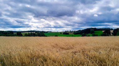 Kashubia 'daki çayır üzerinde kara bulutlar. Yağmurlu hava geliyor. Kuzey Polonya 'nın güzel doğası.