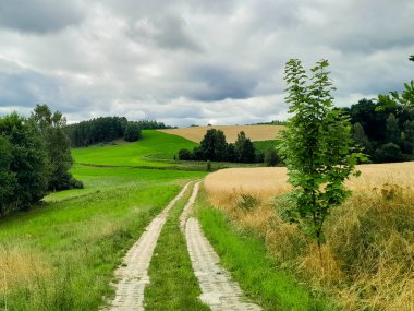 Kashubia 'daki çayır üzerinde kara bulutlar. Yağmurlu hava geliyor. Kuzey Polonya 'nın güzel doğası.