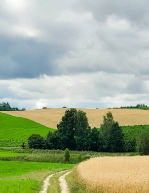 Kashubia 'daki tarlaların üzerindeki kara bulutlar. Yağmur yağacak. Kuzey Polonya 'nın güzel doğası.