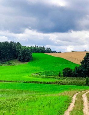 Kashubia 'daki tarlaların üzerindeki kara bulutlar. Yağmur yağacak. Kuzey Polonya 'nın güzel doğası.
