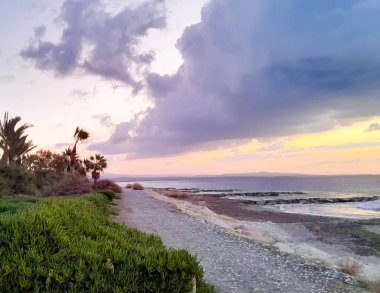 Akdeniz üzerinde gün batımı. Kıbrıs adasının egzotik sahillerinde palmiye ağaçları.