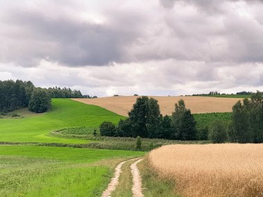Kashubia 'daki tarlaların üzerindeki kara bulutlar. Yağmur yağacak. Kuzey Polonya 'nın güzel doğası.