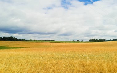 Kashubia 'da kara bulutlar var. Fırtına yaklaşıyor. Kuzey Polonya 'nın şaşırtıcı doğası.