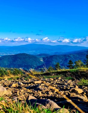 Polonya 'daki Beskides Dağları. Klimchok Dağı 'ndan görüntü.