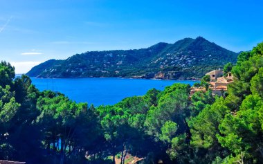 Mallorca adasının kıyısında. Bu egzotik adanın şaşırtıcı doğası.