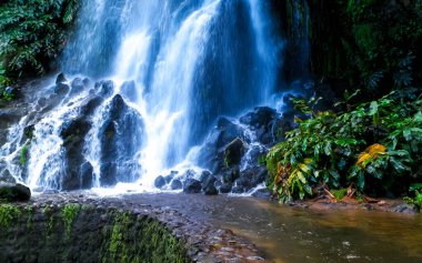 Sao Miguel 'de güzel bir şelale. Doğanın güzelliği.