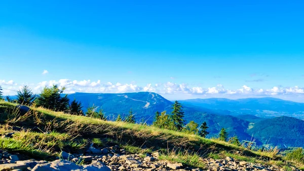 Polonya 'daki Beskides Dağları. Klimchok Dağı 'ndan görüntü.